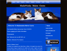 Tablet Screenshot of madawaskamainecoons.com